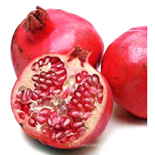 Fresh Pomegranate 2016 Season